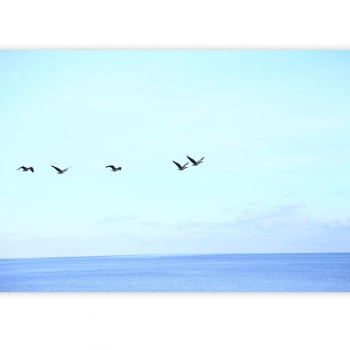 Quadro Patos voando no lago