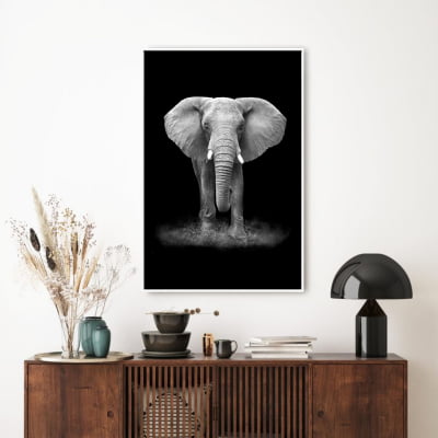 Quadro decorativo Elefante