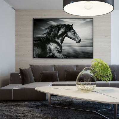 Quadro decorativo Cavalo Preto/Branco
