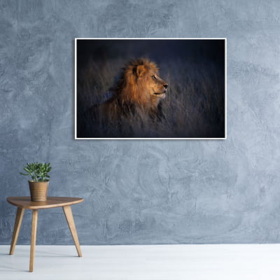 Quadro decorativo Retrato de Leão