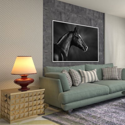 Quadro decorativo Cavalo preto e Branco