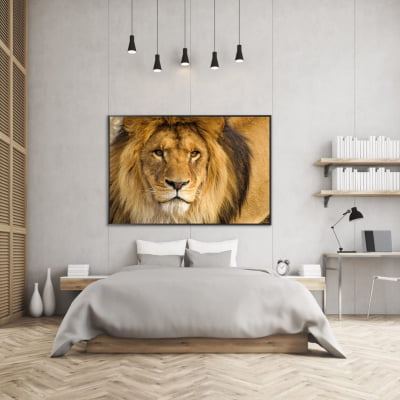 Quadro decorativo Retrato de Leão em foco