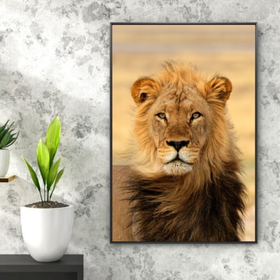 Quadro decorativo Retrato de Leão selvagem