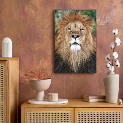 Quadro decorativo  Leão Selvagem