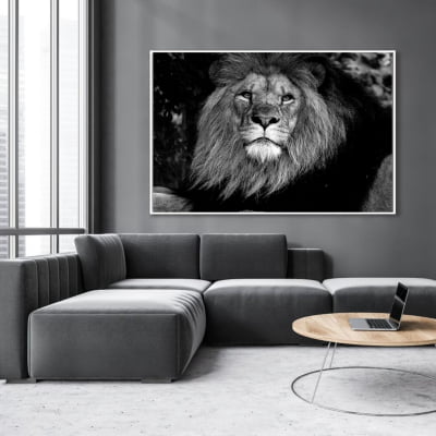 Quadro decorativo Retrato de Leão preto e branco