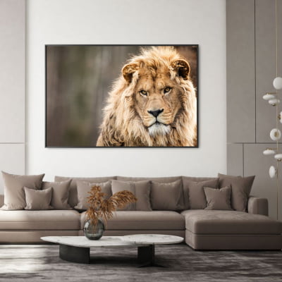Quadro decorativo Leão africano