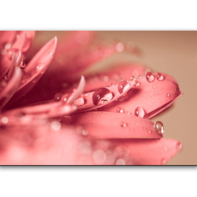 Quadro decorativo flor rosa