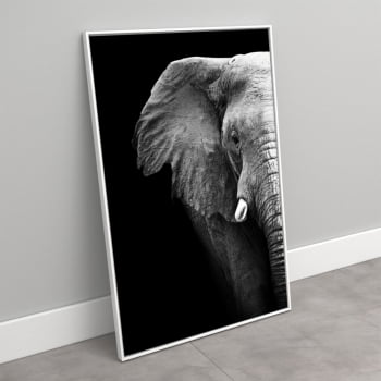 Quadro decorativo Elefante Realístico