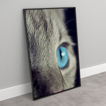 Quadro decorativo Olho de Gato