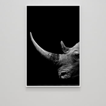 Quadro Rinoceronte Dark